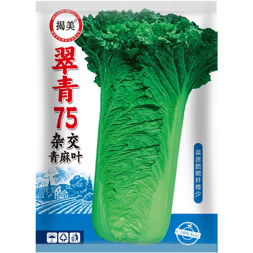 杂交天津青麻叶大白菜种子