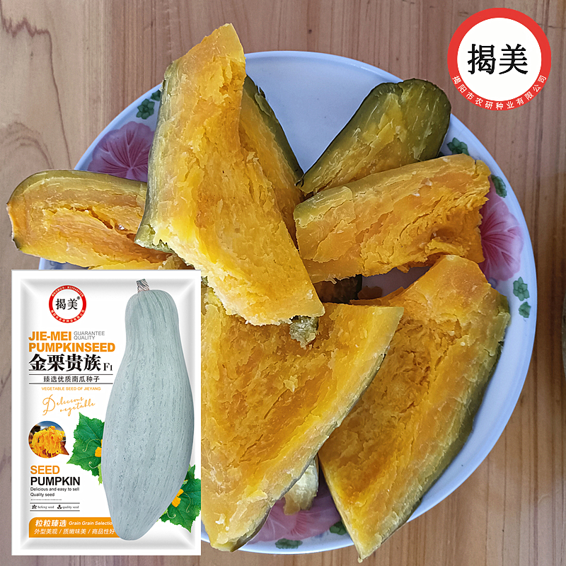 揭美金栗贵族南瓜种子