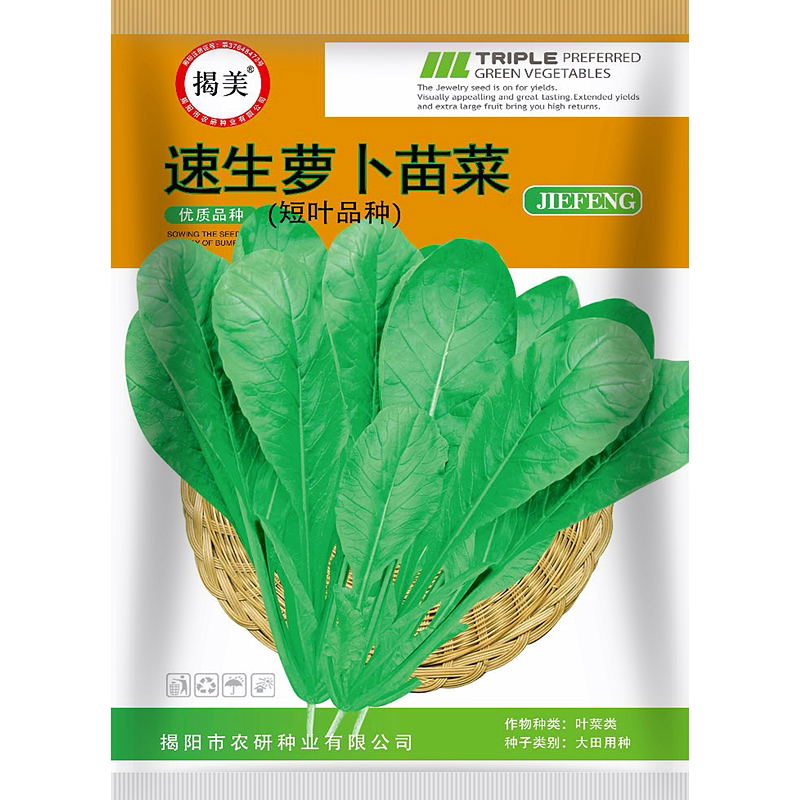 揭美速生萝卜苗菜种子 蔬菜种子 萝卜苗早熟 短叶品种20克500克