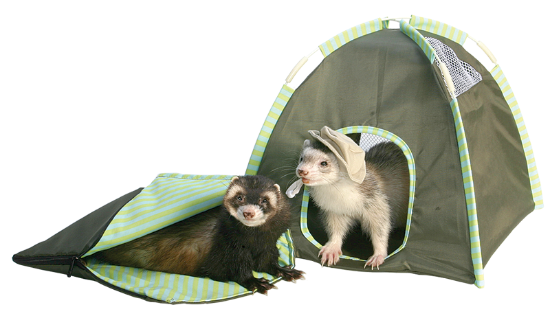 兔子林-正品玛雪儿露营套装 可拆卸窝两件套 雪貂游玩房 包邮