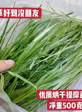 优质净重500g烘烤提草饲料兔子