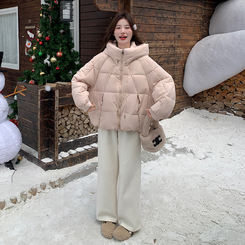 韩系chic粉色连帽羽绒服女冬2025年超火好看高级小众短款加厚外套,女装棉衣/棉服,2C153