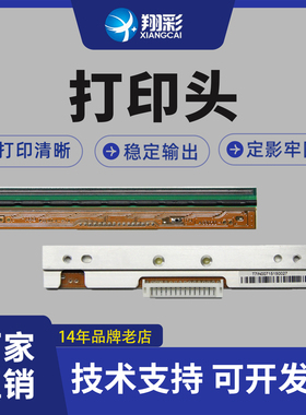 翔彩 适用GODEX科诚G530U打印头 RT730 RT730i BP530L 条码标签打印机热敏头300dpi