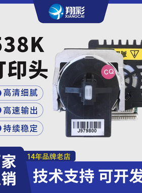 翔彩 适用 映美FP538K打印头 FP312K 映美530KIII 映美530K3+ 560K 映美620K+ 映美630K+打印头 打印机 针头