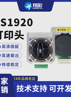 翔彩 适用得实/DS1920 DS1930 600Pro 650Pro DS620II 550II打印头 原装配件组装得实AR580P打印头