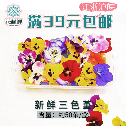 三色堇三色堇50朵可食用鲜花
