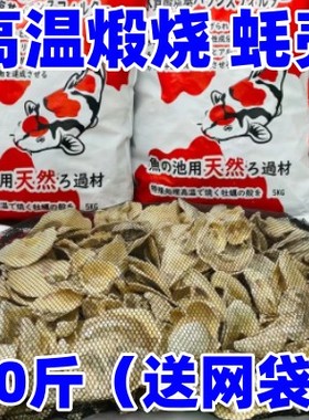 蚝壳鱼池过滤材料天然高温煅烧牡蛎壳锦鲤池滤材生稳定PH值