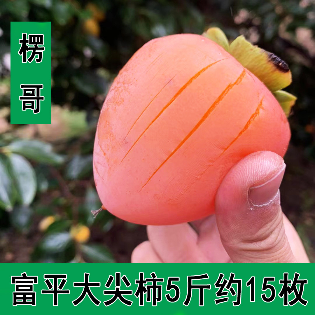 现摘富平大尖柿子新鲜水果软柿子甜糯自然熟现摘临潼水晶柿子包邮