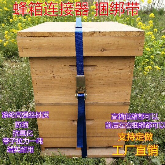 蜂具蜂箱捆绑器连接器弹簧捆绑带加厚捆箱挑绳扣式连接器养蜂工具