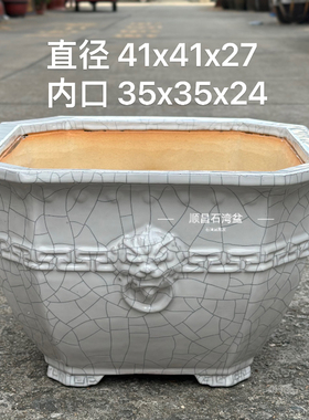 陶瓷花盆大号特大号特价欧式简约白色绿萝蝴蝶兰专用盆栽石湾盆