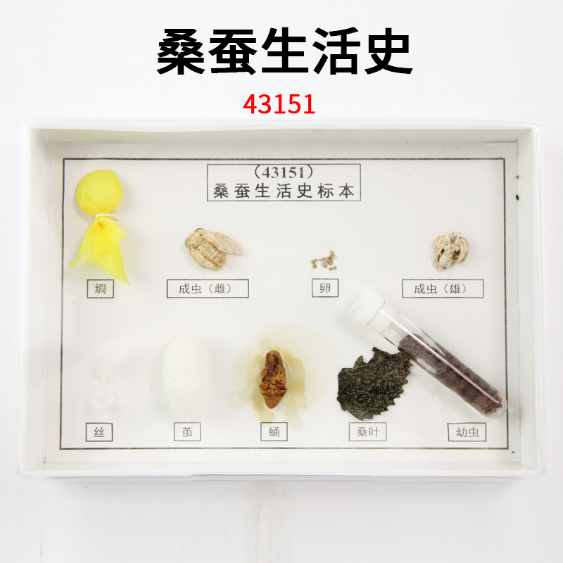 教学仪器 厂家直销 教委会员单位