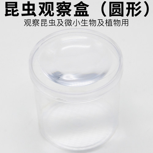 昆虫观察盒（带放大镜科学