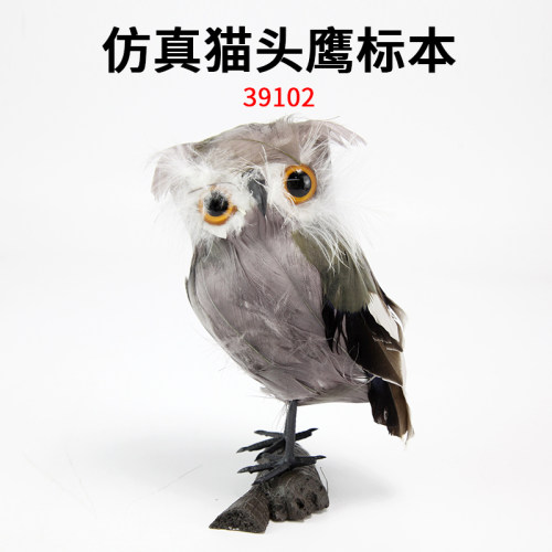 猫头鹰仿真模型j39102教学仪器