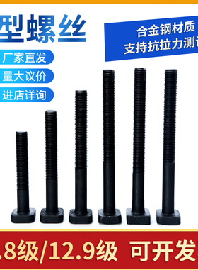 8.8级12.9级T型螺丝高强度方头螺杆冲床模具压板T形头螺栓M12-M30