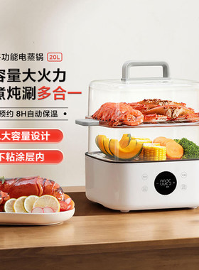 小米米家多功能电蒸锅N113L家用