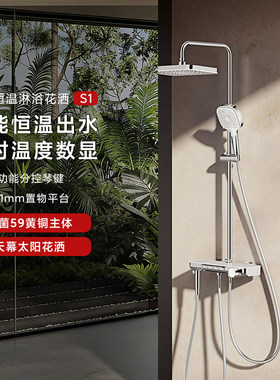 小米米家恒温淋浴花洒S1家用