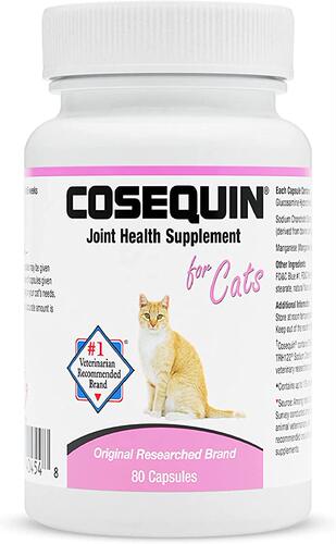 Cosequin软骨素氨糖折耳猫关节