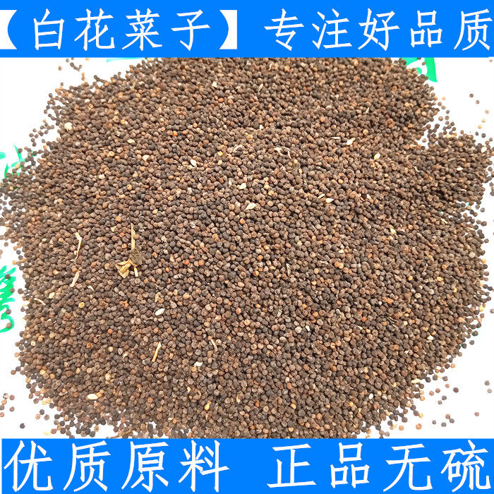 白花菜子中药材店铺500克包邮正品白花菜籽 白花菜种子 百花菜子