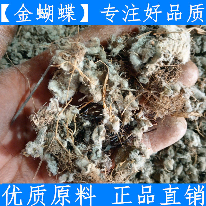 金蝴蝶中药材 锦地罗 文钱红 金线吊芙蓉 落地金钱 500克新鲜干货