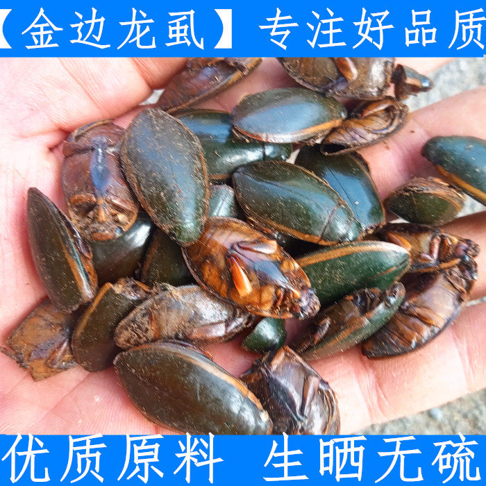 中药材正品 金边龙虱 优质龙虱 水鳖虫 射尿龟500g新鲜干货无硫