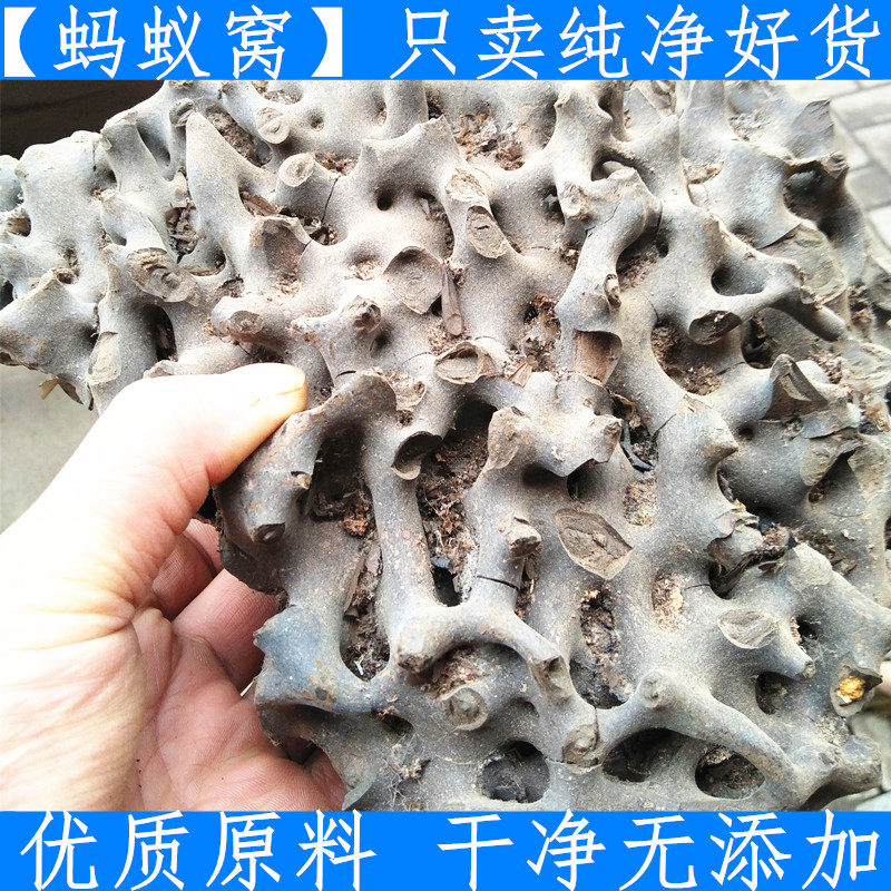 原料东北吉林蚂蚁窝 优质原料黑蚂蚁窝 蚂蚁巢中药材蚂蚁窝 500g