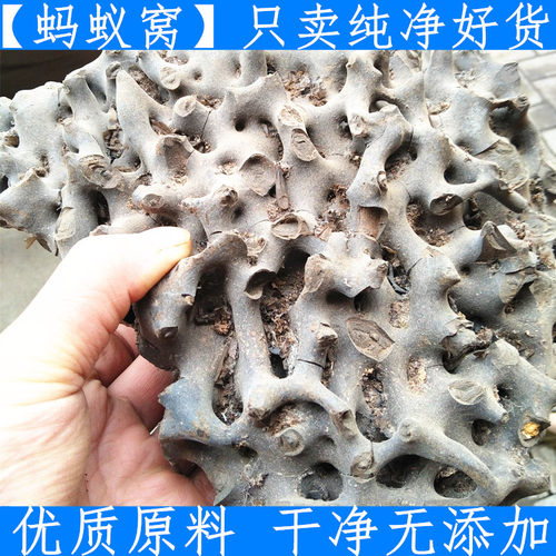 原料东北吉林蚂蚁窝 优质原料黑蚂蚁窝 蚂蚁巢中药材蚂蚁窝 500g