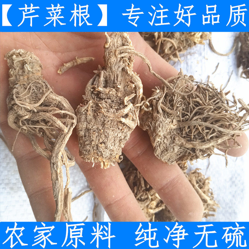 芹菜根 中药材芹菜根部干货 新货芹菜根泡水500克新鲜干货纯净