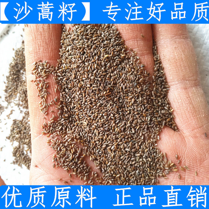 沙蒿籽 中药材沙蒿子沙蒿子新鲜干货500克一斤优质纯净货农家原料