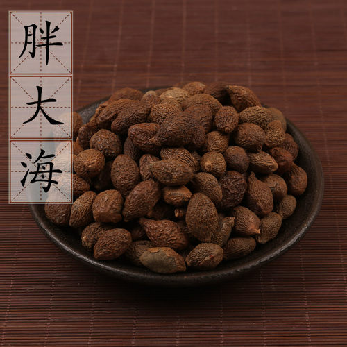 野生新货初级农产品2斤大海子