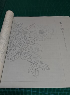 牡丹工笔画毛笔线描白描绘画描红31幅图半生熟机制宣纸长卷