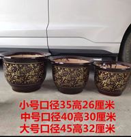Guangdong ceramic flower POTS: Money tree, Happiness tree, Iron tree, Dragon's Blood tree, large potted plants, large ceramic flower POTS with free shipping thumbnail 8