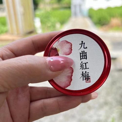 杭州特产本地九曲红梅10g
