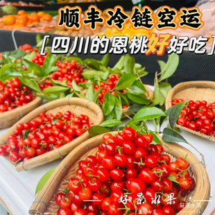 顺丰现摘四川小樱桃车厘子新鲜当季 保证100 水果超划算店长推荐