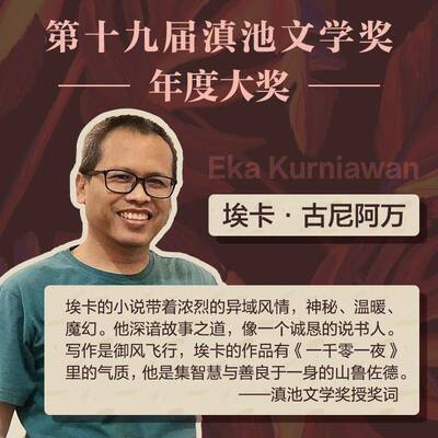正版美是一种伤9787549640362 埃卡·古尼阿万文汇出版社小说  书籍