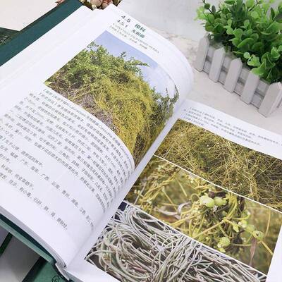 正版中国中草药志39787122406255 叶华谷化学工业出版社医药卫生  书籍