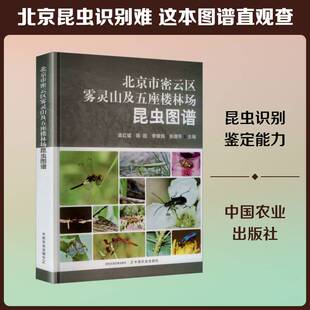 正版北京市密云区雾灵山及五座楼林场昆虫图谱9787109335684 梁红斌中国农业出版社图书 书籍