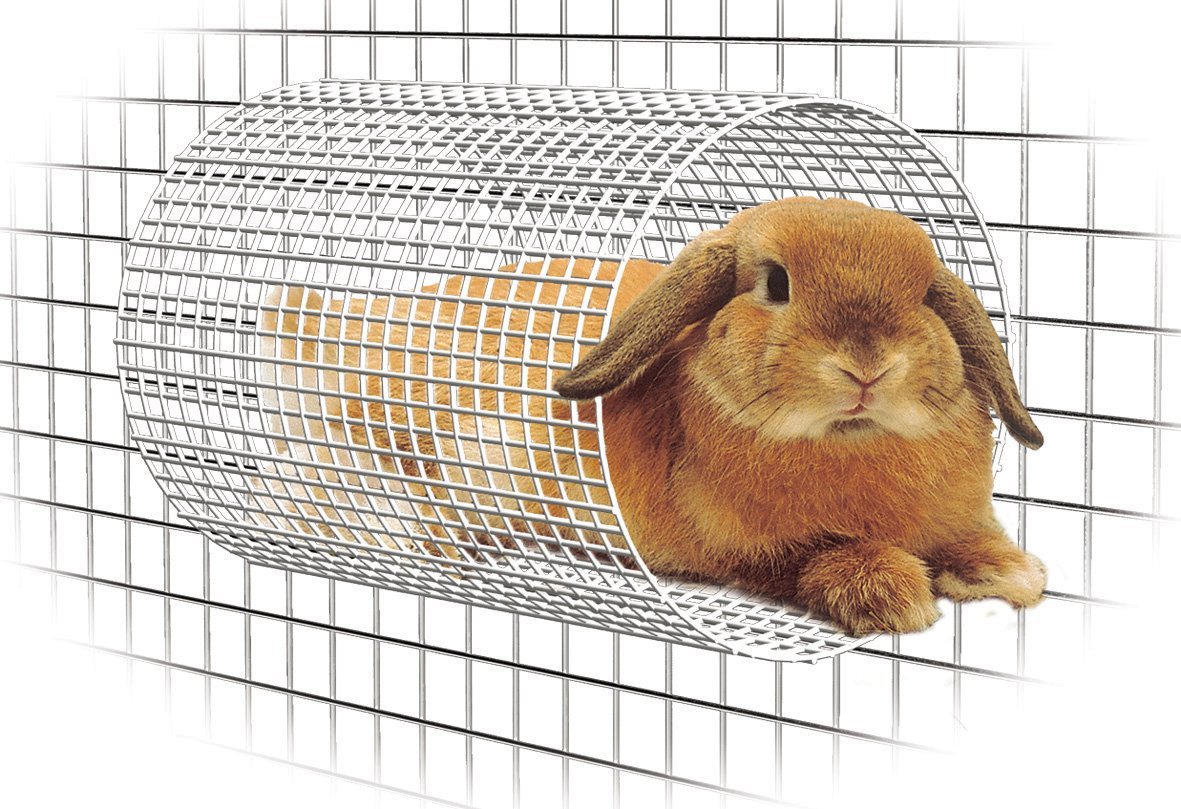 兔龙猫貂等玩耍躲藏宠物玩具森度