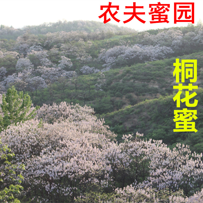 桐花蜜桐花蜂蜜泡桐蜜真蜂蜜农家蜂蜜
