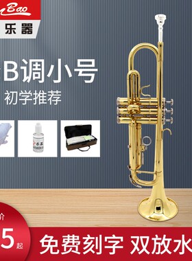 新宝小号乐器管乐小号漆金xinbao三音按键TR400型初学降B调