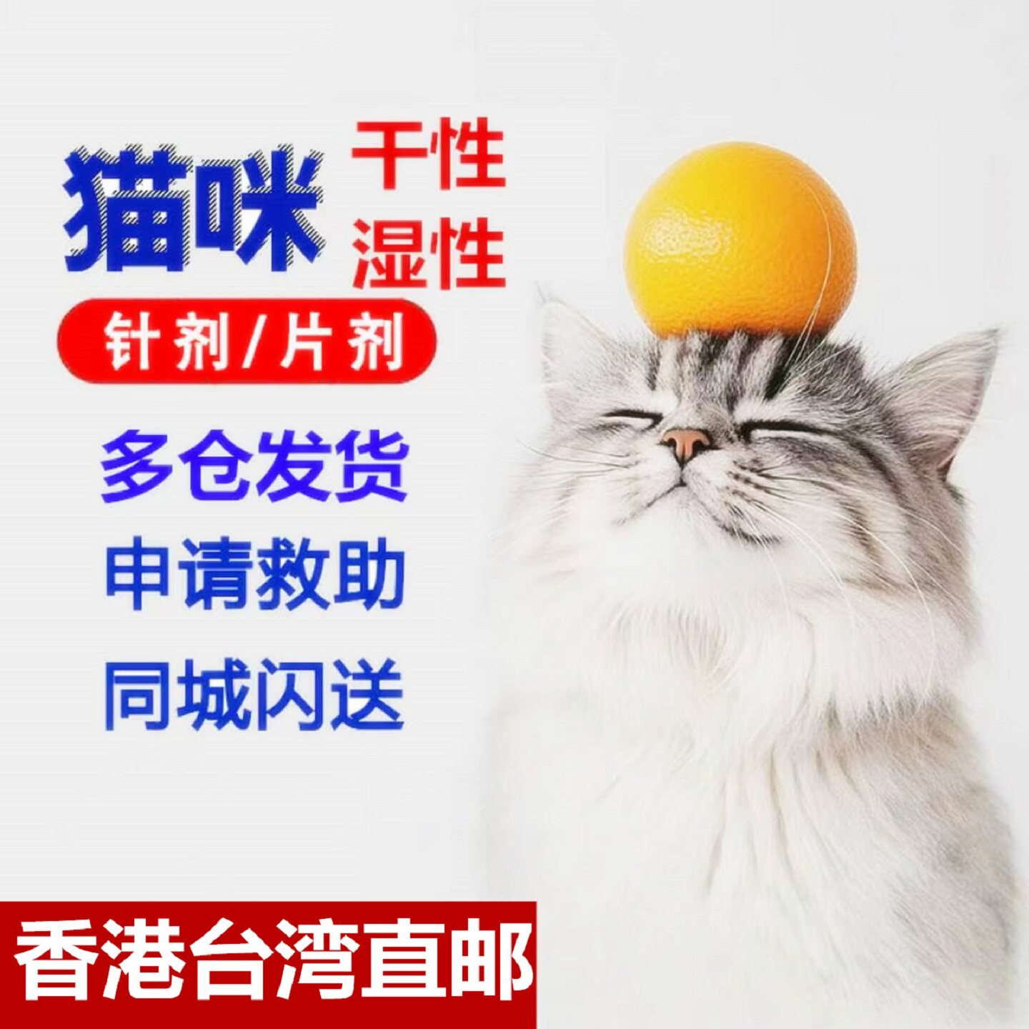 猫咪冠状传腹湿性针剂干性