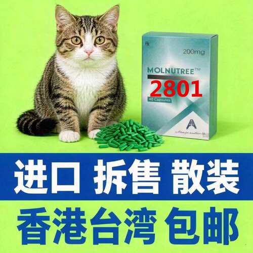 猫咪保肝补血护理营养