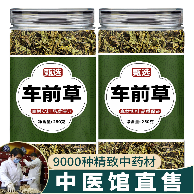 车前草中药饮片500g正品中药材