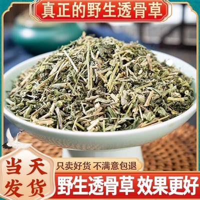 透骨草中药材饮片店铺药材