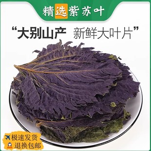 干紫苏叶中药材饮片官方旗舰店新鲜食用野生泡脚泡茶水子苏叶粉