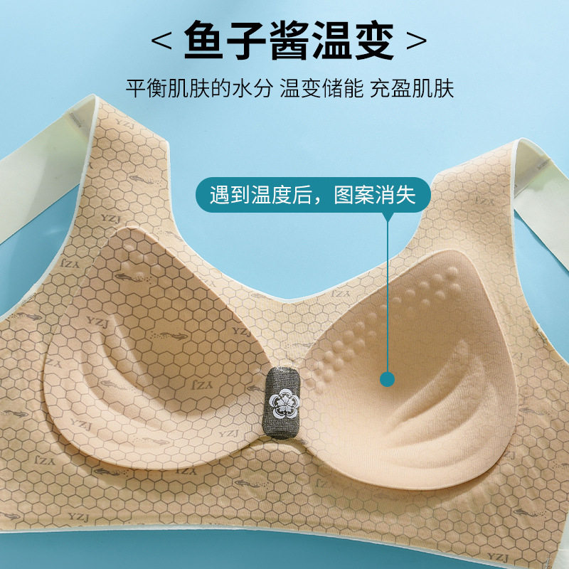 无痕软支撑鱼子酱固定杯内衣排扣款小胸聚拢上托收副乳调整型文胸