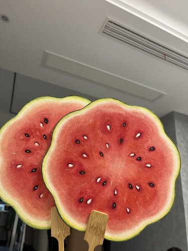 纯手绘双面西瓜团扇夏日清凉创意国画水果扇子高颜值手摇扇手柄扇