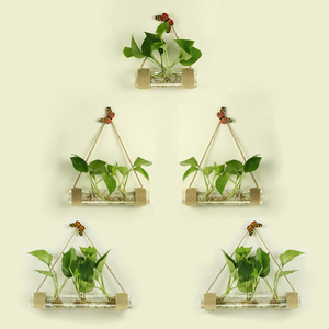 花瓶ins风壁挂水培绿植玻璃器皿客厅背景墙装饰麻绳瓶吊饰简约