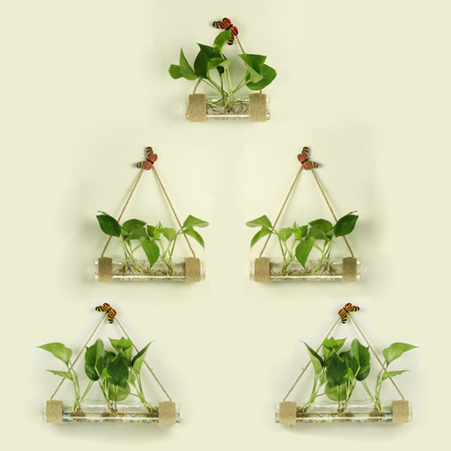 水培植物花器背景墙装饰花瓶玻璃