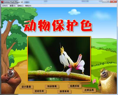 动画flash定制多媒体制作 —新动物保护色
