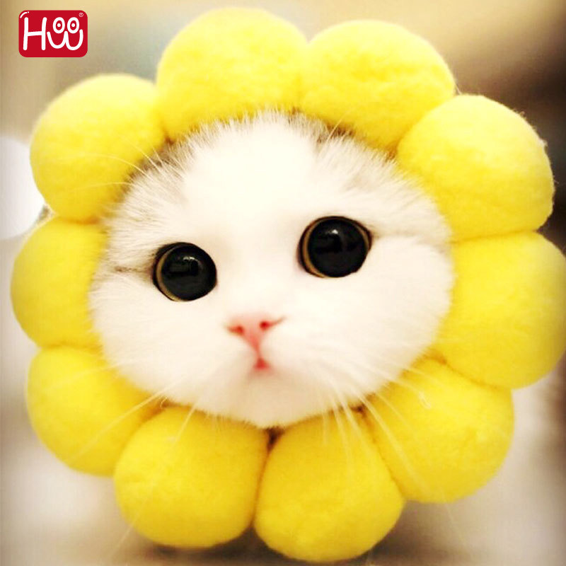 太阳花帽子猫咪狗狗甜甜圈兔子头套泰迪幼犬抖音宠物头饰向日葵